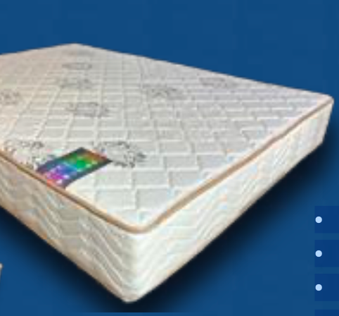 10'' Ultra Firm Foam Program Mattress by Dream Well